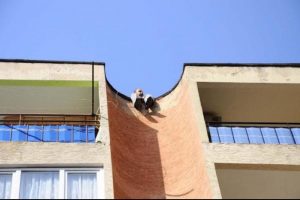 Terk edilince &ccedil;atıya &ccedil;ıktı