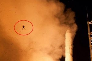 NASA'nın uzay kurbağası!