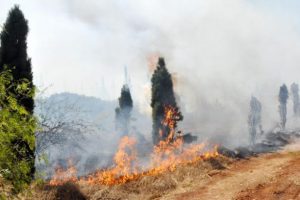 &Uuml;niversite'de yine yangın