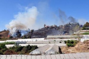 Alanya'da &ccedil;ıkan yangında tarım alanları zarar g&ouml;rd&uuml;