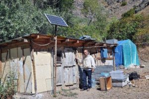 Ayıyla m&uuml;cadelede g&uuml;neş enerjisi d&ouml;nemi