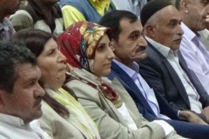 "Devletin K&uuml;rtlerle bir sorunu yoktur"