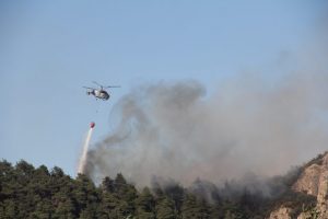 Bursa'da orman yangını