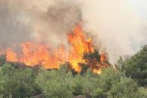 Konya'da korkutan yangın