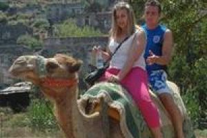 Antalya'da deve turizmi