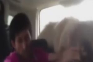 T&uuml;rk'&uuml;n ko&ccedil;la imtihanı