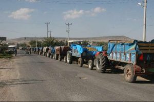 &Uuml;z&uuml;m &uuml;reticilerinin kuyruk &ccedil;ilesi
