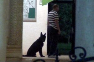 Polis k&uuml;lt&uuml;r merkezinde bomba aradı