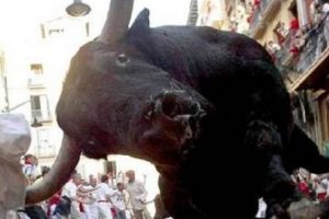 AFP muhabiri boynuz darbeleriyle yaralandı