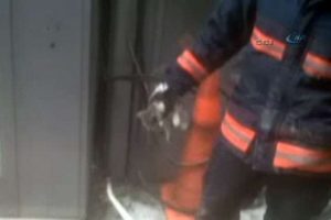 Asans&ouml;r boşluğunda kedi kurtarma operasyonu