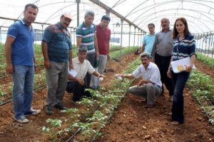 Avcı b&ouml;cekler iş başında