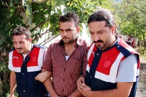 Mısır tarlasında hintkeneviri