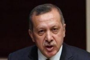 Başbakan ormana gidin dedi ama...
