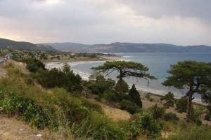 Sit alanına inşaat yapan yandı!