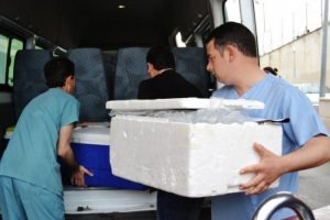 Tıbbi sekreterin organları heyecan yaşattı