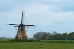 Hollanda "zengine" vizede kolaylık sağlayacak