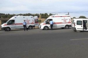 Araca giren arıyı kovalarken kaza yaptılar