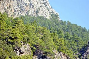 16 yaşındaki gen&ccedil;, dağlık alanda &ouml;l&uuml; bulundu