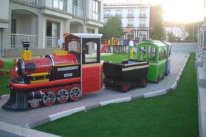 "Gara tren" sınırları aştı