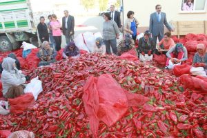 Kaleli'den İneg&ouml;l'de "Sal&ccedil;alı" muhalefet