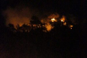 Marmaris'te orman yangını