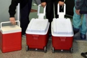 Sahte kimliklerle organ nakli vurgunu
