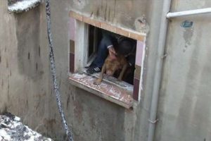 K&ouml;peğini alevlerin arasından &ccedil;ıkardı
