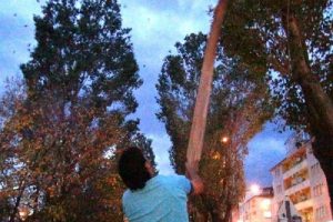 Fırıncının kuş n&ouml;beti