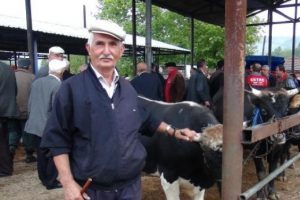 Kurbanlıklar satışa &ccedil;ıktı