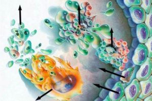 AIDS 2030'a kadar bitebilir