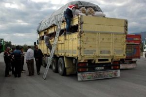 Ka&ccedil;ak kurbanlık sevkine jandarma engeli