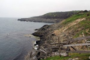 Sinop'a 'g&uuml;venli n&uuml;kleer enerji' s&ouml;z&uuml;