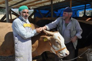 Bursa'da hayvan pazarı hareketlendi