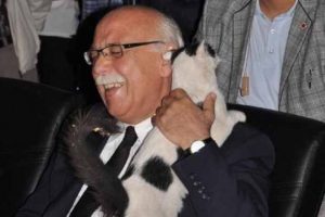 Sokak kedisi bakanın omuzunda