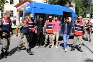 Su&ccedil;ları inek &ccedil;almak