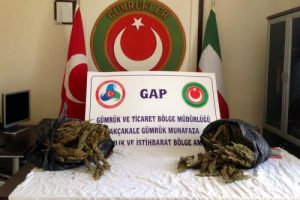 Sınır kapısına bırakılan &ccedil;antalardan esrar &ccedil;ıktı