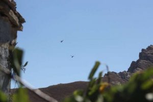 Hakkari semalarında hareketlilik s&uuml;r&uuml;yor