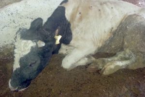14 k&ouml;y ve 1 belde karantinaya alındı