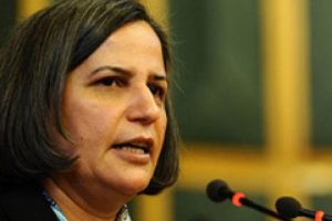 Kışanak: Demokratikleşme paketinde ş&uuml;phelerimiz var
