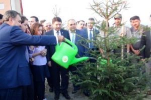 Bakan fidan dikti