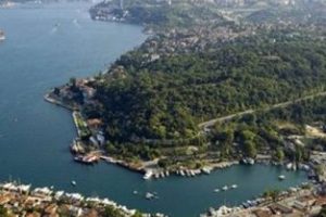 Burada tam 545 milyar TL yatıyor!