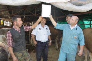 Kurbanlıklara gebelik testi