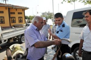 AK Parti &ouml;n&uuml;nde eşekli operasyon
