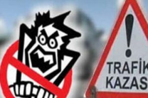 Meclis emniyet kemerine dikkatleri &ccedil;ekti