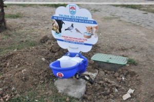 Sokak hayvanlarına otomatik su makinesi