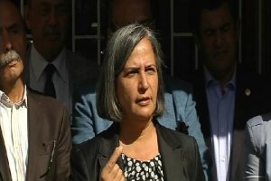 "Demokratikleşme ihtiyacına yanıt vermiyor"
