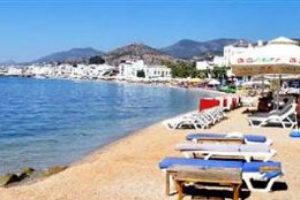 Bodrum sahillerinde şaşırtan g&ouml;r&uuml;nt&uuml;