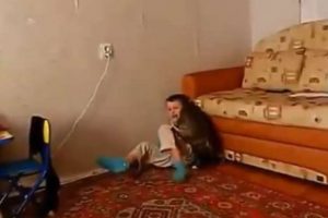 Kedinin intikamı acı oldu