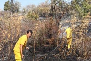 &Ccedil;ay demlerken ormanı yakıyordu