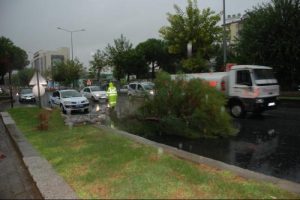 Ağa&ccedil;lar r&uuml;zgarın şiddetine karşı koyamadı